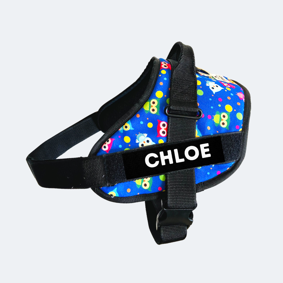 Caninkart Personalized Owl Easy-on Harness (Blue)