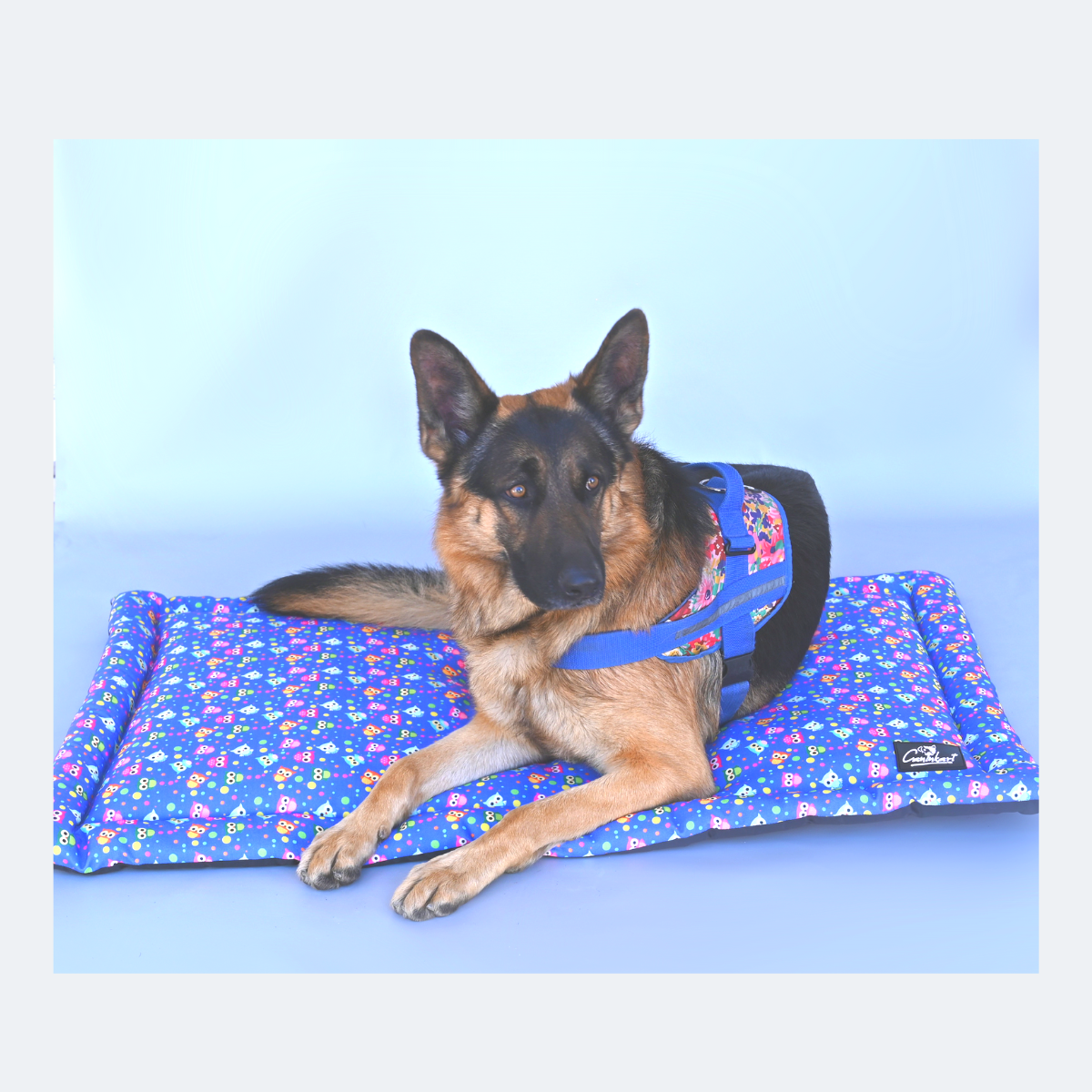 Caninkart Owl Lounge Dog & Cat Mat - Blue