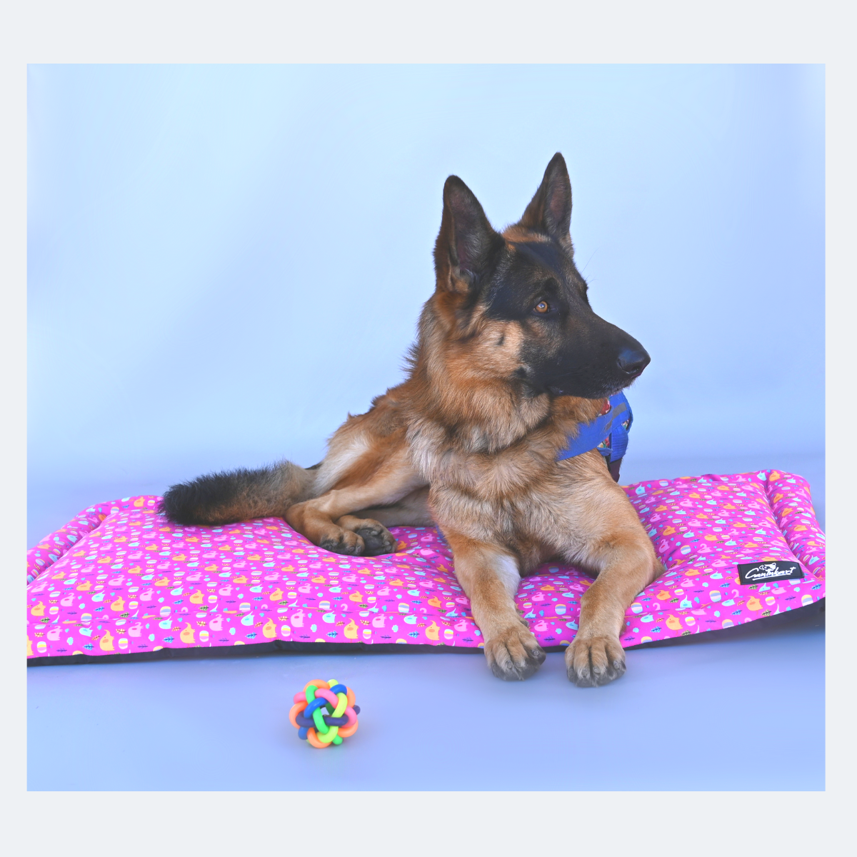 Caninkart Elephant Lounge Dog & Cat Mat - Fuchsia Pink