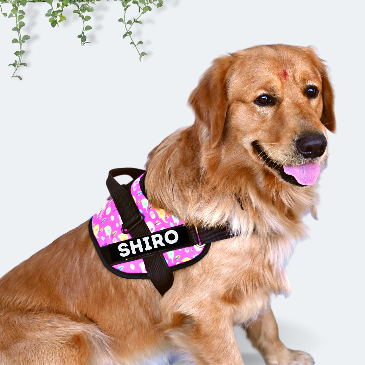Caninkart Personalized Elephant print Easy-on Harness (Fuchsia)