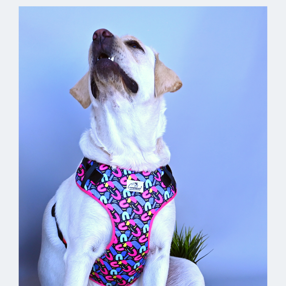 Caninkart Abstract Chest Harness