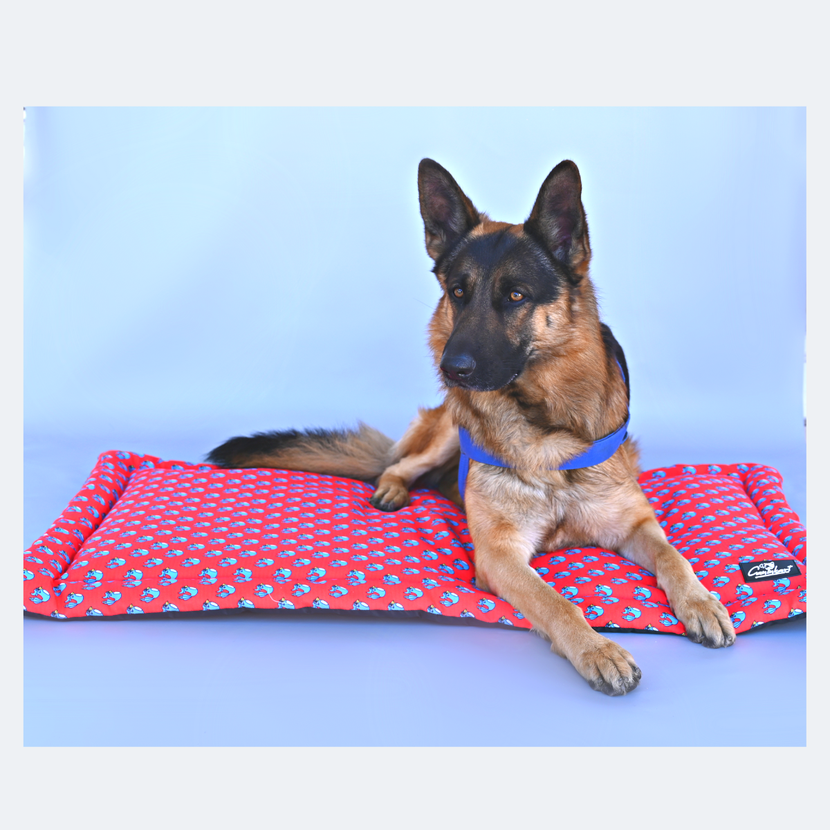 Caninkart Chirpy Lounge Dog & Cat Mat - Red