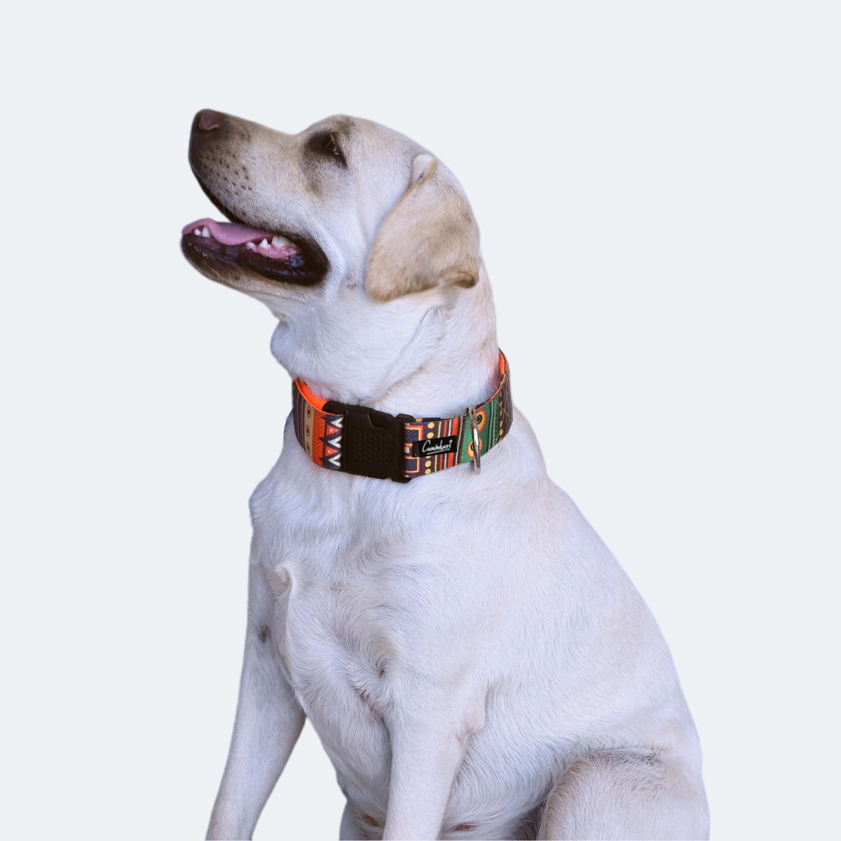 Caninkart Padded Dog Collar- Tribal (XXL) | Strap Width: 2 inch