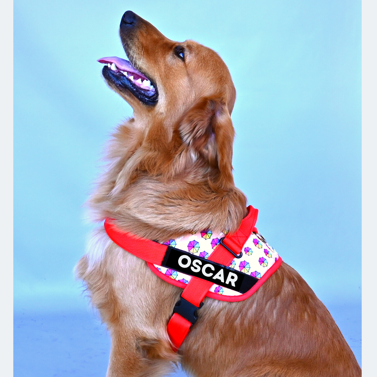 Caninkart Personalized Prism Easy-on Harness (Red)