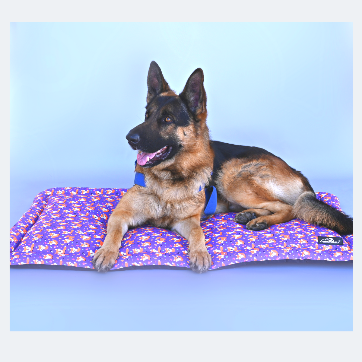 Caninkart Foxy Lounge Dog & Cat Mat - Purple
