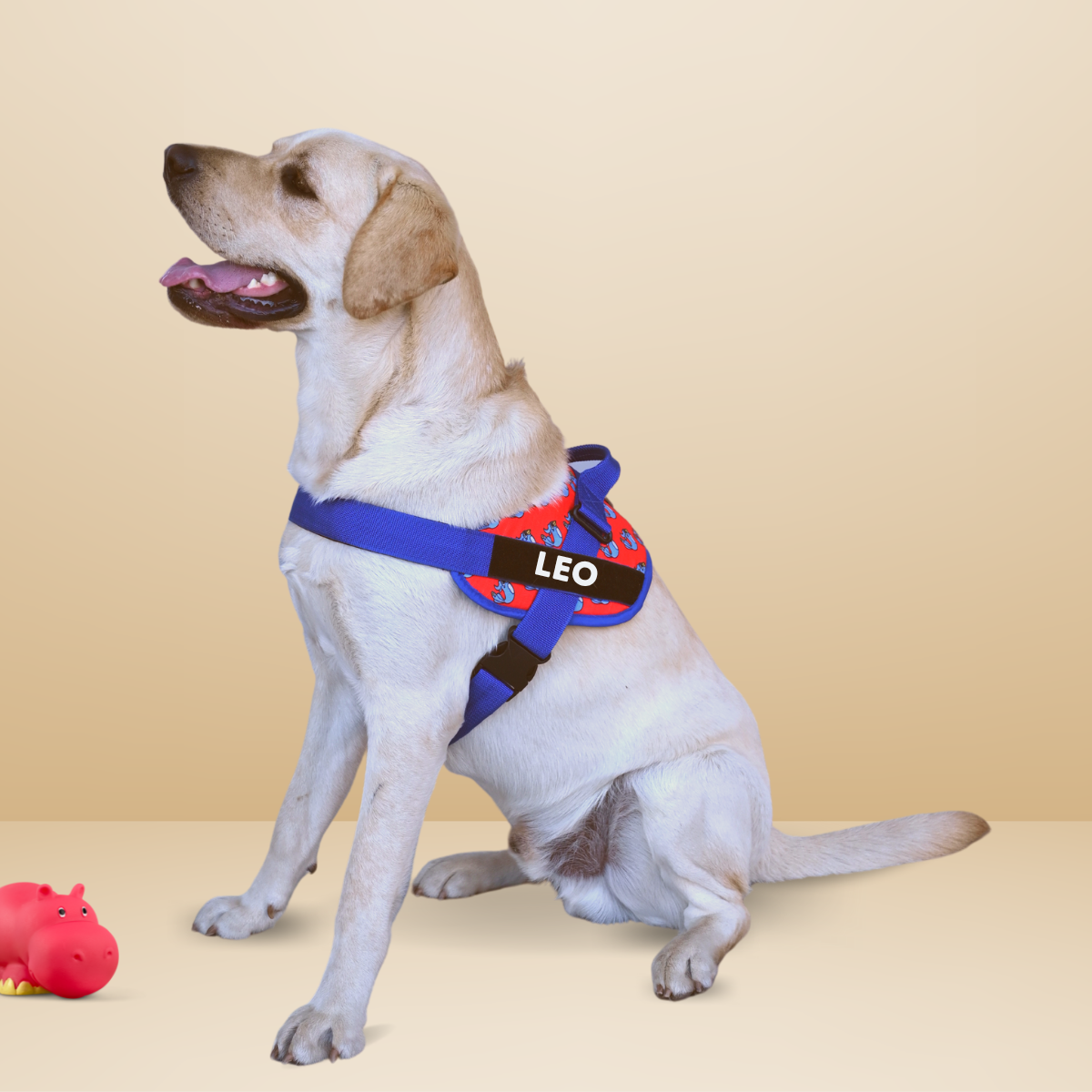 Caninkart Personalized Chirpy Easy-on Harness (Red)