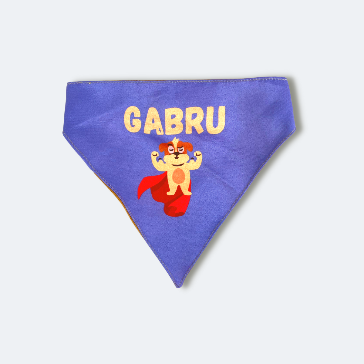 Caninkart Gabru Cat and Dog Bandana