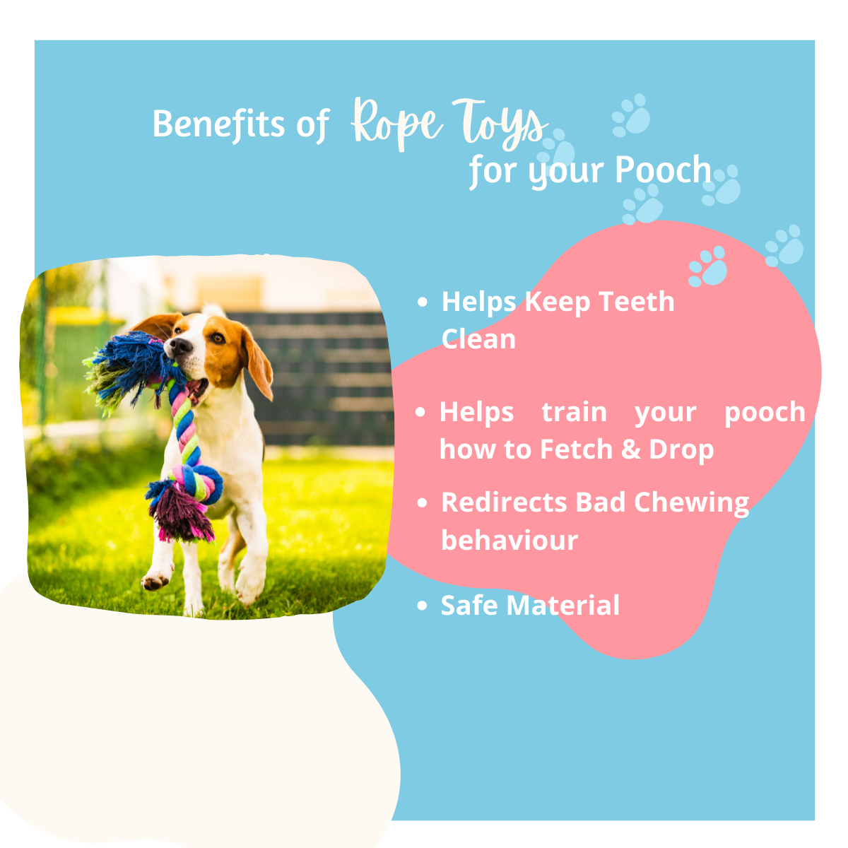 Rope Toy Combos At Just Rs. 499