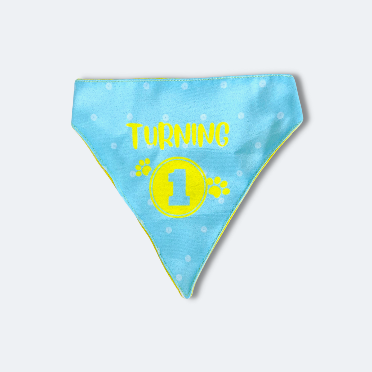Caninkart Turning 1 Bandana