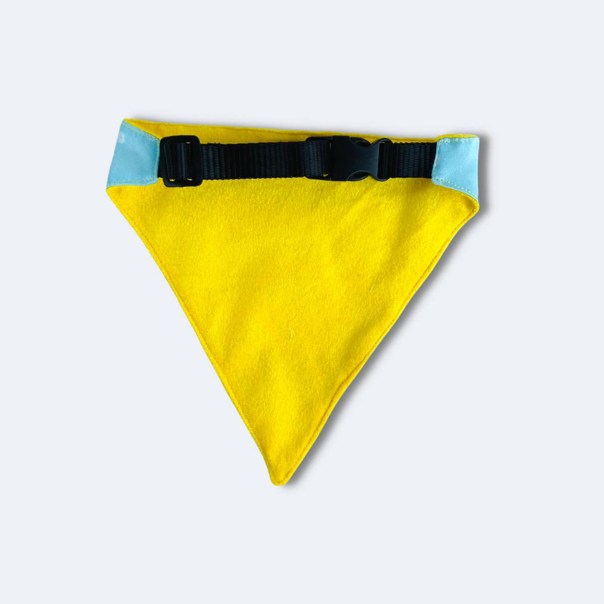 Caninkart Turning 1 Bandana