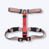 Caninkart H-Harness (Beige)