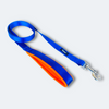 Nylon Dog Leash