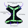 Caninkart Owl Chest Harness (Blue)