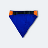 Caninkart Birthday Dude Bandana