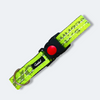 Caninkart Padded Dog Collar - Neon Green (XL) | Strap width: 1.5inch